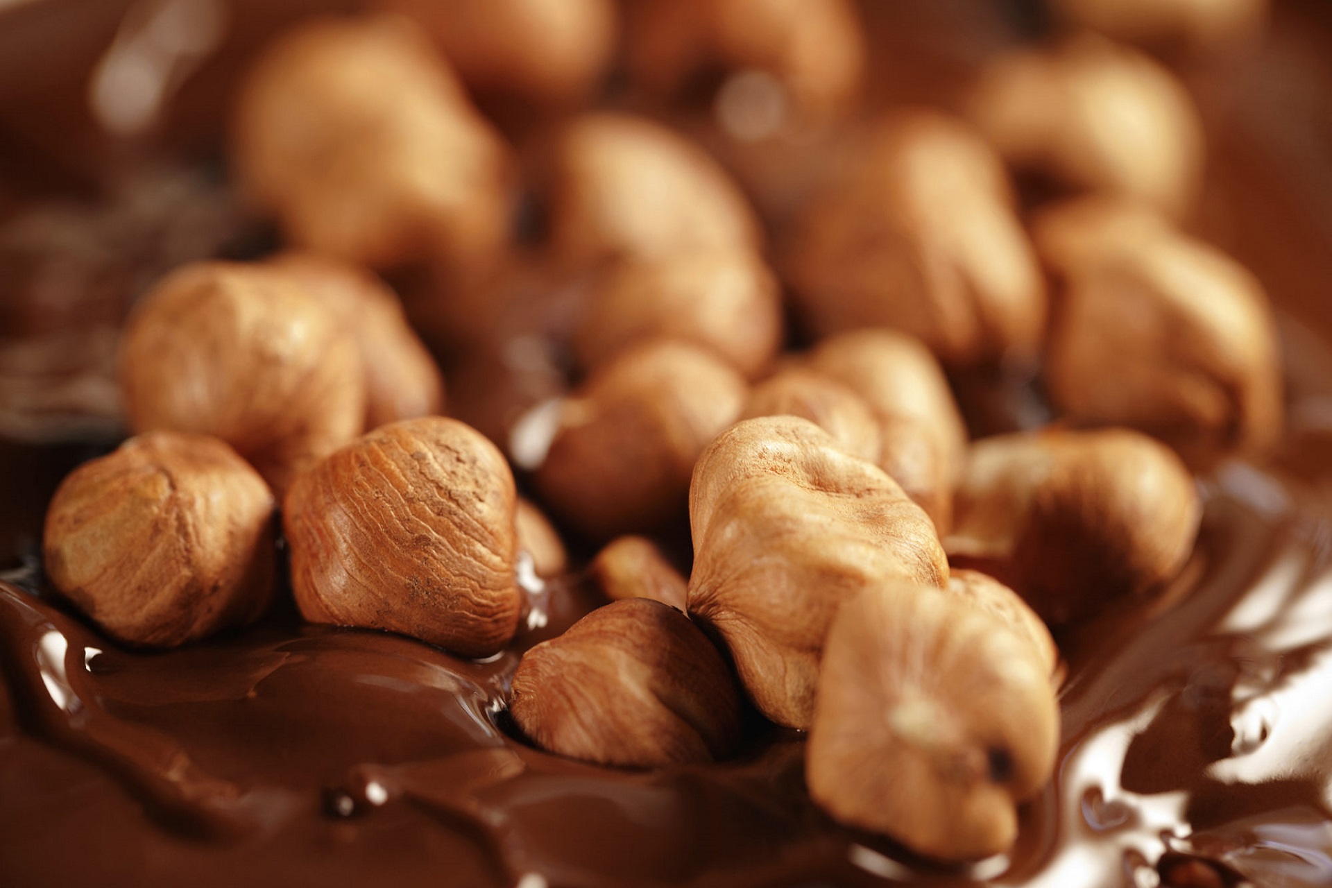 Hazelnuts; Benefits, Eating, and Storage