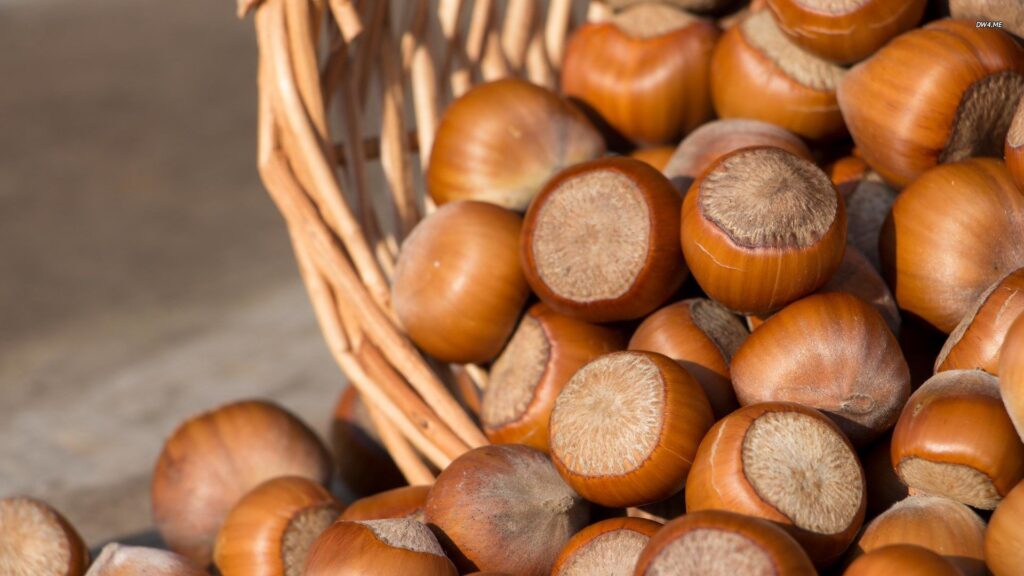 Health Benefits Of Hazel Nuts