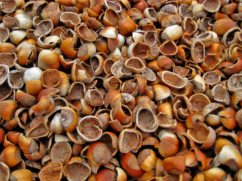 The Surprising Cleaning Properties of Hazelnut Shells